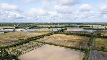 LAND CLEARANCE